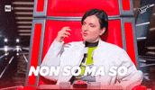 The Voice Coach GIF by The Voice of Italy