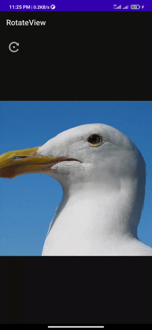 aslamhossin giphyupload GIF