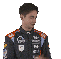 Hyundai Loubet Sticker by FIA World Rally Championship
