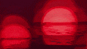 GIF by Walter Wlodarczyk