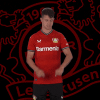 Time Wtf GIF by Bayer 04 Leverkusen