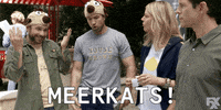 Always Sunny Sunnyfxx GIF by It's Always Sunny in Philadelphia
