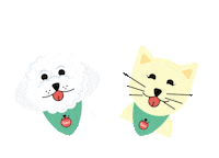 FetchNaturals cat dog soap fetch Sticker