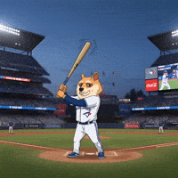 Shiba Inu Baseball GIF by Doge Pound