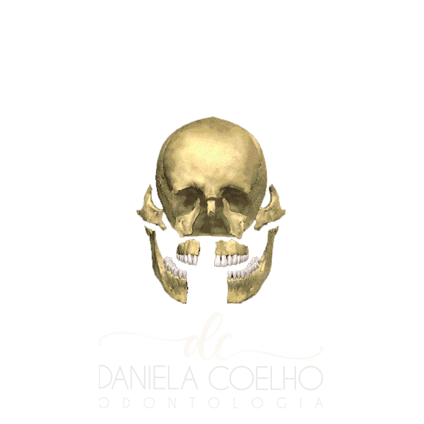 Cirurgia Traumatologia Sticker by Daniela Coelho Odontologia