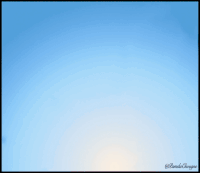 Pamela Chougne Cheval GIF