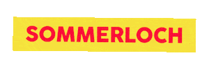 Summer Breaking Sticker by Linz News