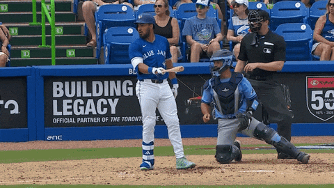 Blue Jays Mlb GIF by Toronto Blue Jays