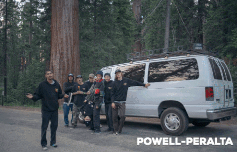 Skating Powell-Peralta GIF by Skate One