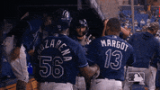 Major League Baseball Sport GIF by MLB