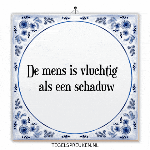 Humor Nl GIF by Tegelspreuken.nl