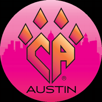 CAAUSTIN caaustin GIF
