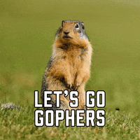 Let's Go Gophers