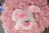 Spring Bunny GIF by uniqueinthecreek