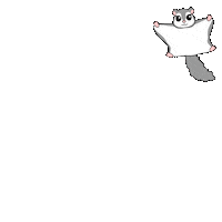 Flying Squirrel Fly Sticker