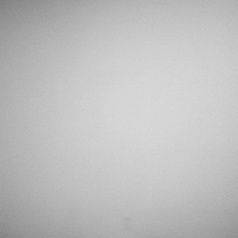 Friends Struggle GIF by Calvin Klein