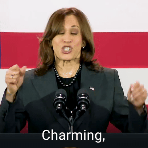 Charming, energetic, intelligent.