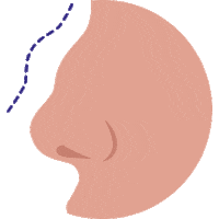 Dubai Plastic Surgery Sticker by bizrahmed.