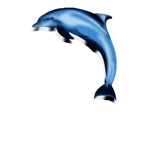 Dolphin Sticker by ImPulsTanz – Vienna International Dance Festival