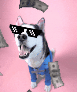 swagrman giphygifmaker happy dog money GIF