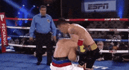 toprank fight boxing fighting espn GIF