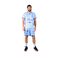 Sport Handball Sticker by CchartresMHB