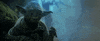 star wars cat GIF