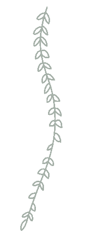 Plant Grow Sticker
