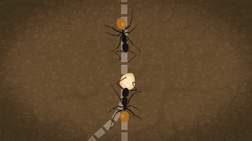 self-driving cars traffic GIF by PBS Digital Studios