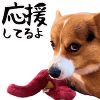 Corgi がんばって Sticker
