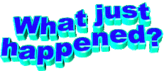 What Just Happened Sticker by GIPHY Text