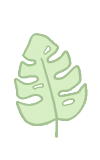 cremefleurs green aesthetic doodle minimal Sticker