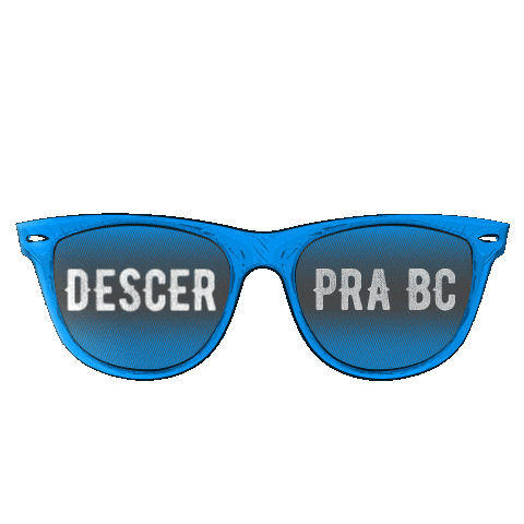 Santa Catarina Balneario Sticker by Brenno e Matheus