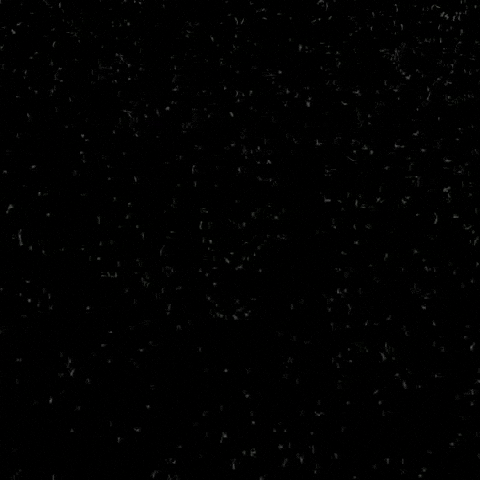 Black Lives Matter Animation GIF