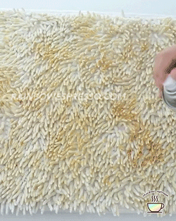 hesterliong giphyupload GIF