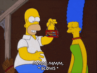 homer simpson GIF