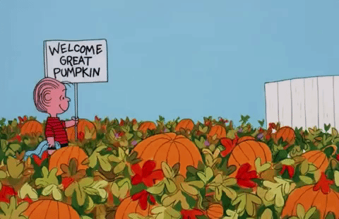 Great Pumpkin Linus GIF by Halloween