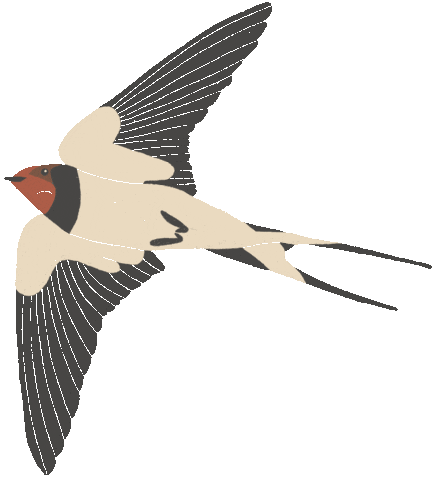 Summer Illustration Sticker