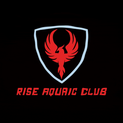 RiseAquaticClub giphygifmaker swimming phoenix rise GIF