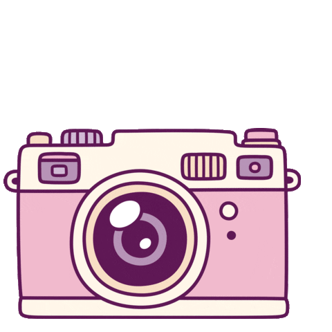 Fashion Camera Sticker by Tickled Teal
