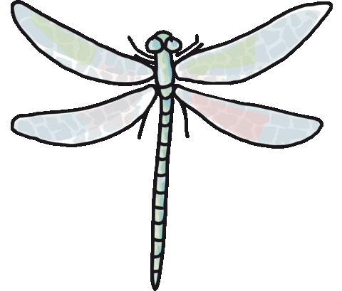 Butterfly Dragonfly Sticker by Luiza Negreiros Dermato