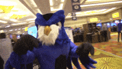 owl it nation GIF by ConnectWise