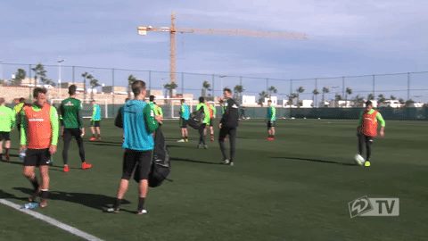 werder werderbremen GIF
