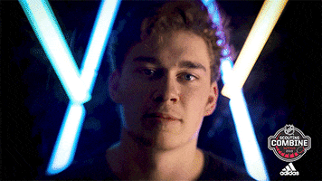 nhl sports sport hockey nhl GIF