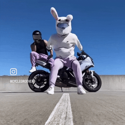 Dance Dancing GIF