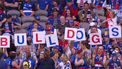 aussie rules football sport GIF by Western Bulldogs