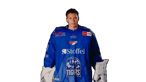 Tigershockey Sticker by Straubing Tigers