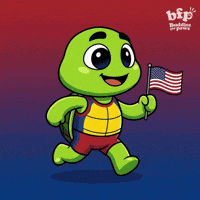Jumping American Flag GIF by Buddies for Paws