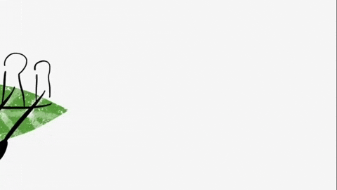 Dragon Boat GIF by Barbara Pozzi