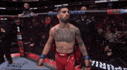 Mixed Martial Arts Sport GIF by UFC